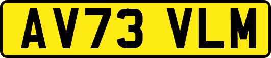 AV73VLM