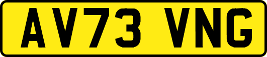 AV73VNG
