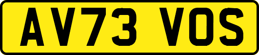 AV73VOS