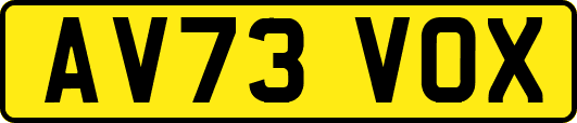 AV73VOX