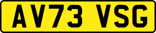 AV73VSG
