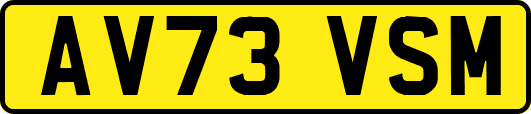 AV73VSM