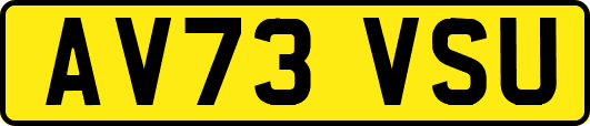 AV73VSU