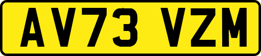 AV73VZM