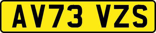 AV73VZS