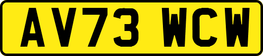 AV73WCW