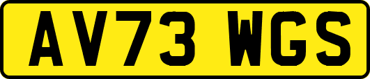 AV73WGS