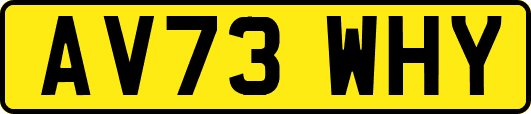 AV73WHY
