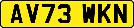 AV73WKN