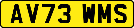 AV73WMS