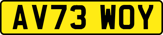 AV73WOY