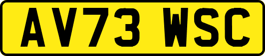 AV73WSC