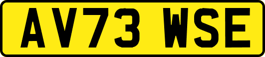 AV73WSE