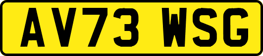 AV73WSG