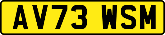 AV73WSM