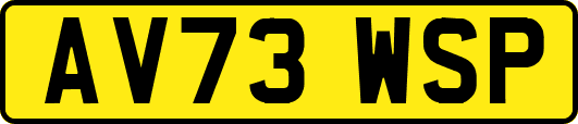 AV73WSP