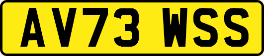AV73WSS