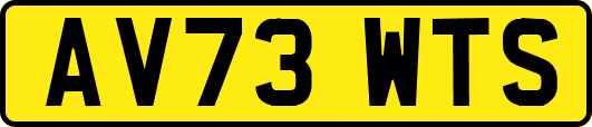 AV73WTS