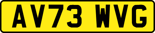 AV73WVG
