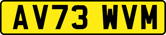 AV73WVM