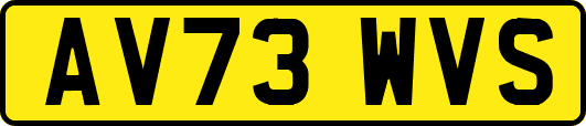 AV73WVS