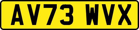 AV73WVX