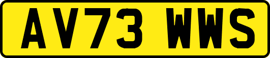 AV73WWS