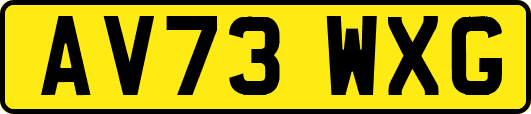 AV73WXG