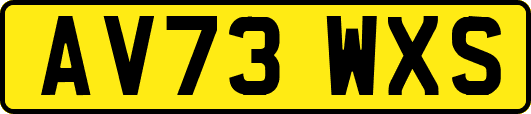 AV73WXS