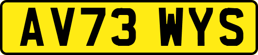 AV73WYS