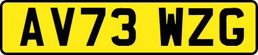 AV73WZG