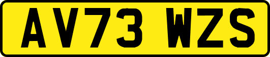 AV73WZS