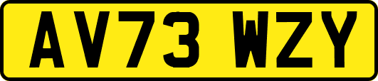 AV73WZY