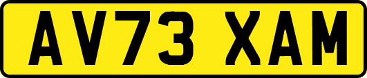 AV73XAM