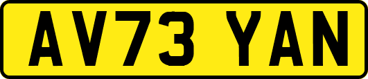 AV73YAN