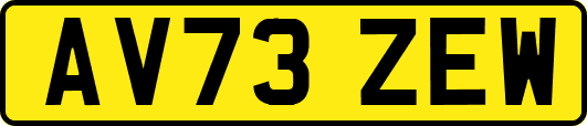 AV73ZEW