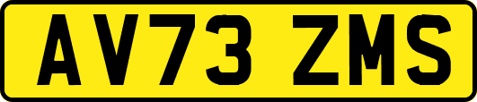 AV73ZMS