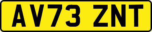 AV73ZNT