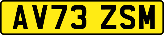 AV73ZSM