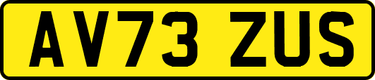 AV73ZUS