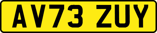 AV73ZUY
