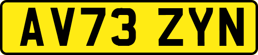 AV73ZYN