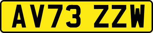 AV73ZZW
