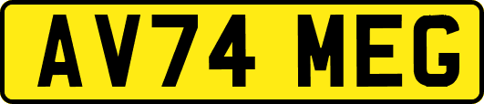 AV74MEG