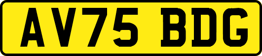 AV75BDG