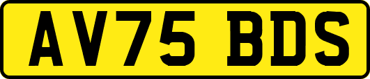 AV75BDS