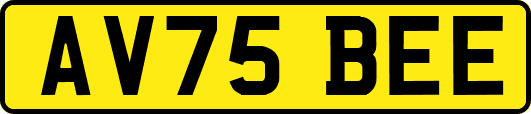 AV75BEE