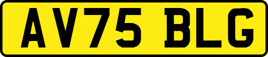 AV75BLG