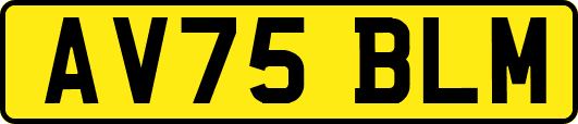 AV75BLM