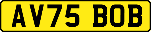 AV75BOB